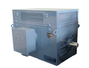 Y、YR系列高壓三相異步電動(dòng)機(jī)